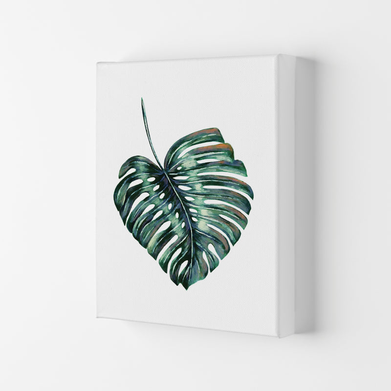 Monstera Leaf Full Modern Print, Framed Botanical & Nature Art Print Canvas