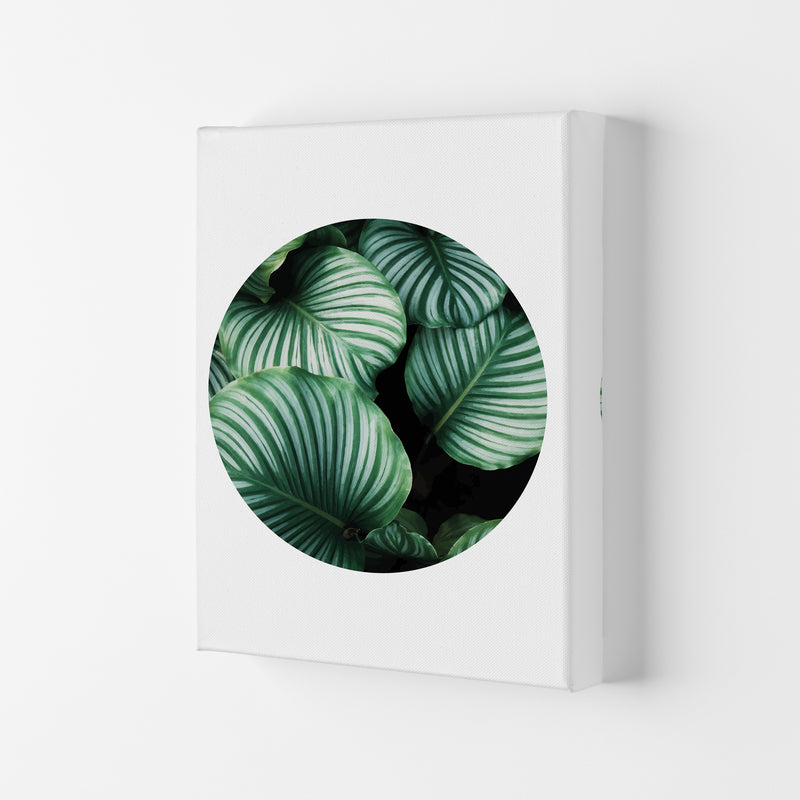 Green Leaves Circle Modern Print, Framed Botanical & Nature Art Print Canvas