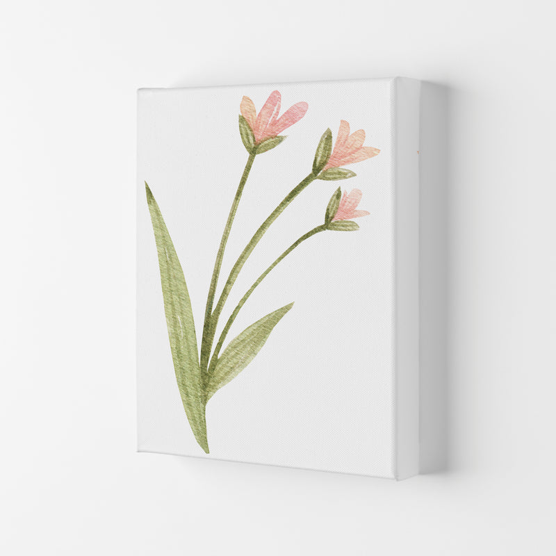 Pink Watercolour Flower 1 Modern Print Canvas