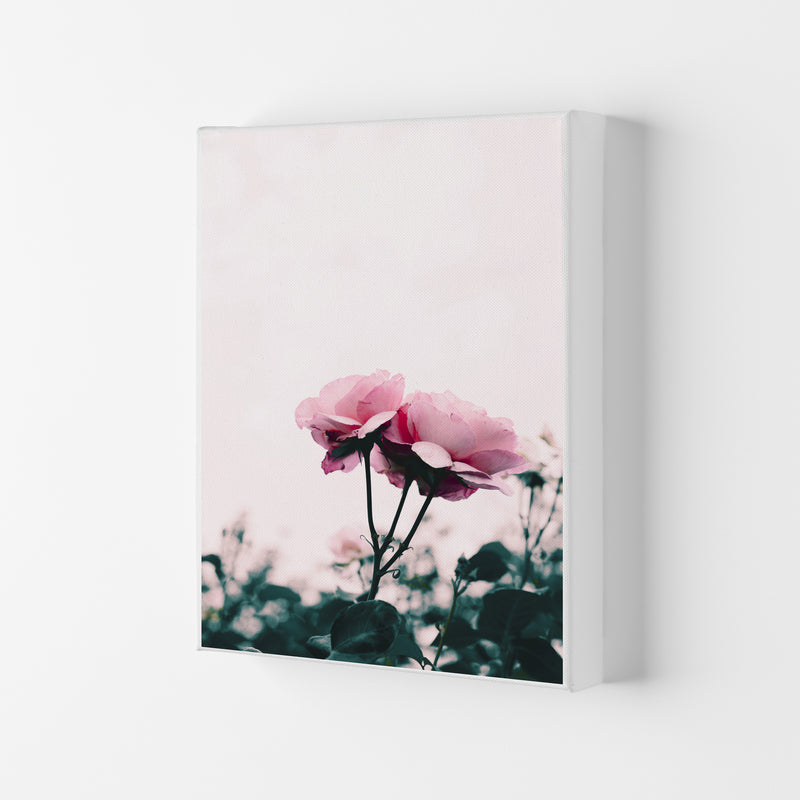Pink Rose Modern Print, Framed Botanical & Nature Art Print Canvas