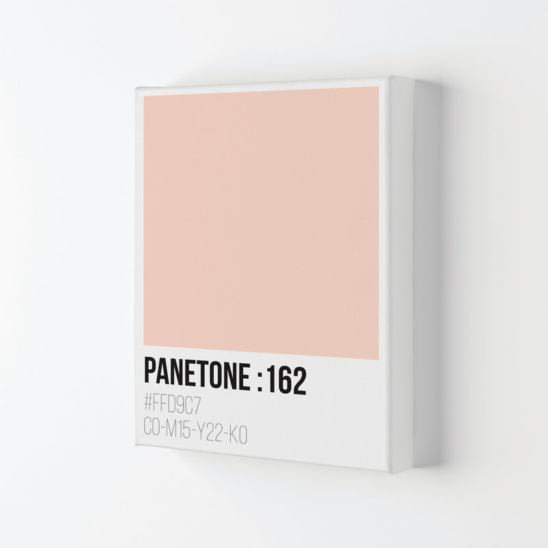 Panetone Colours 162 Modern Print Canvas