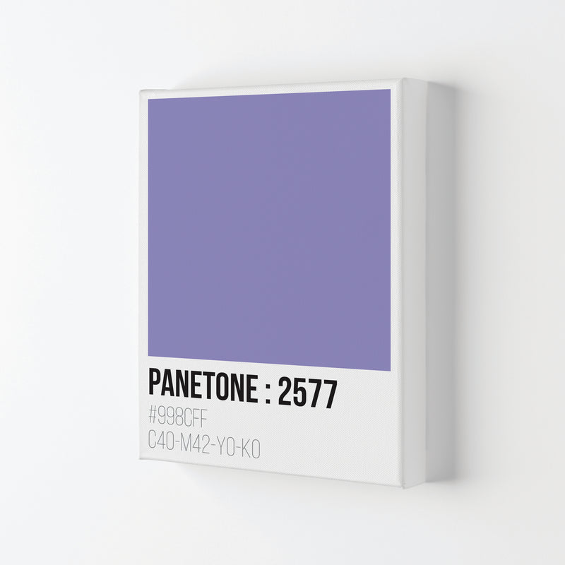 Panetone Colours 2577 Modern Print Canvas