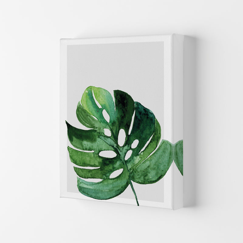 Leaf With Grey Back Exotic  Art Print by Pixy Paper Canvas