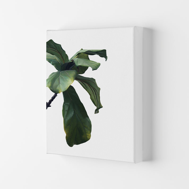 Plant Head Part One  Art Print by Pixy Paper Canvas