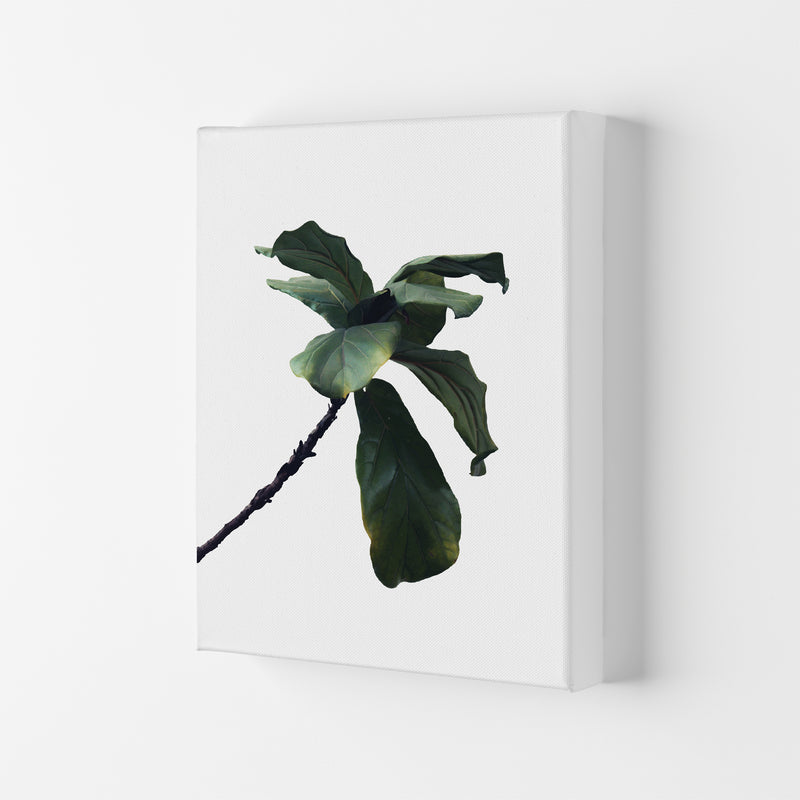 Plant Head Part Two  Art Print by Pixy Paper Canvas