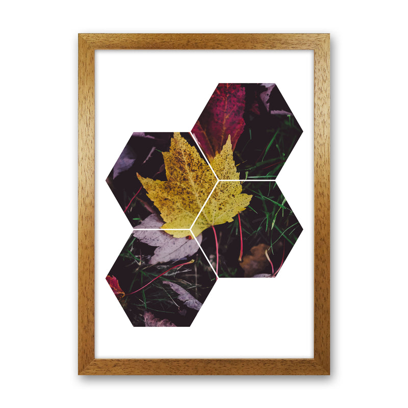 Leaf And Grass Abstract Hexagons Modern Print Oak Grain
