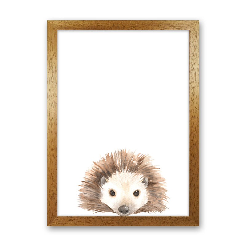 Forest Friends, Cute Hedgehog Modern Print Animal Art Print Oak Grain