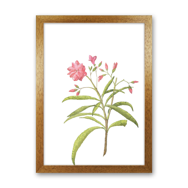 Pink Flower Modern Print, Framed Botanical & Nature Art Print Oak Grain