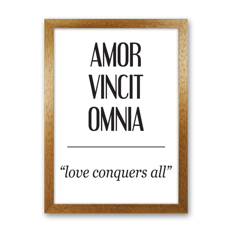 Amor Vincit Omnia Framed Typography Wall Art Print Oak Grain