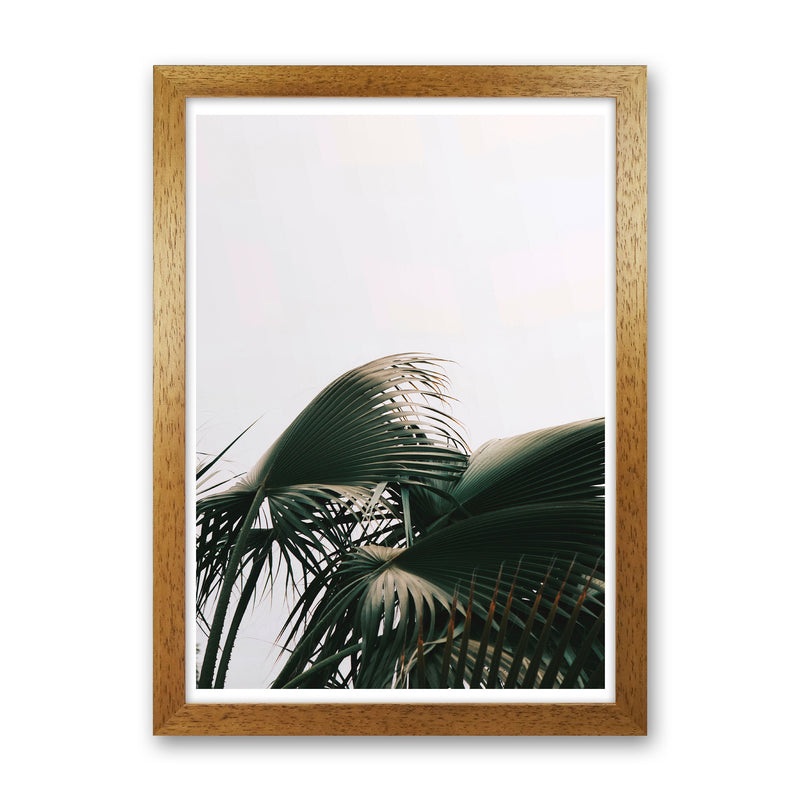 Bushy Palm Leaves Modern Print, Framed Botanical & Nature Art Print Oak Grain