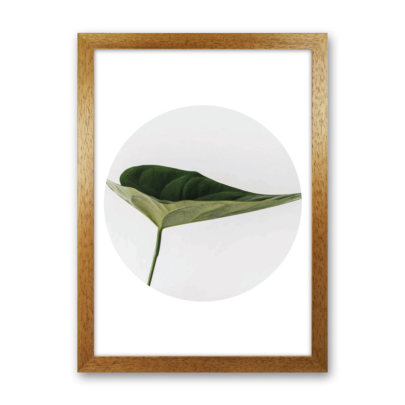 Doc Leaf Modern Print, Framed Botanical & Nature Art Print Oak Grain