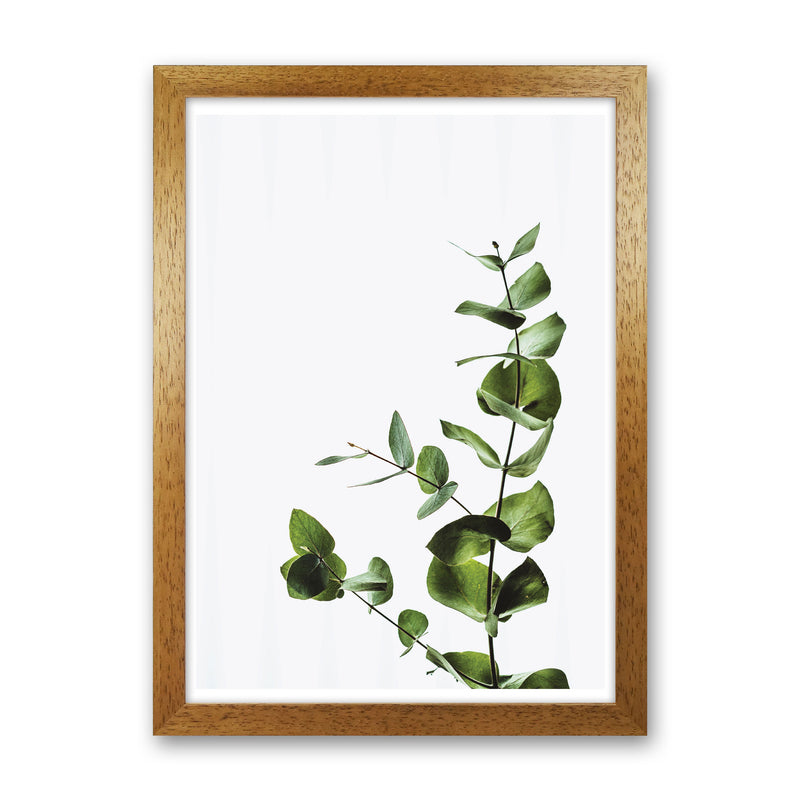 Elegant Green Plant Modern Print, Framed Botanical & Nature Art Print Oak Grain