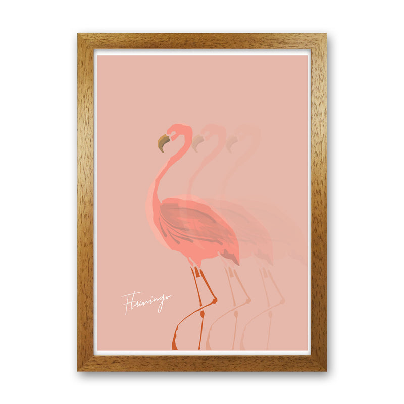 Flamingo Shadow Modern Print Animal Art Print Oak Grain