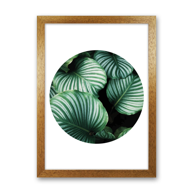 Green Leaves Circle Modern Print, Framed Botanical & Nature Art Print Oak Grain