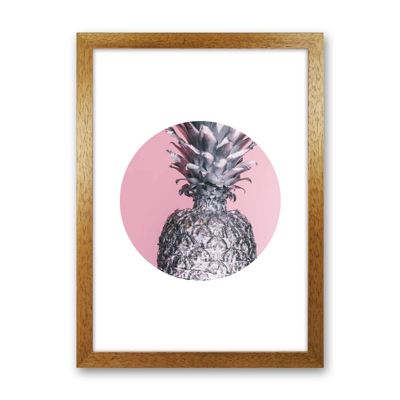 Pineapple Pink Circle Modern Print Oak Grain