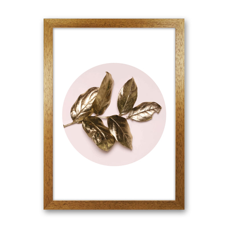 Pink And Gold Leaf Modern Print, Framed Botanical & Nature Art Print Oak Grain