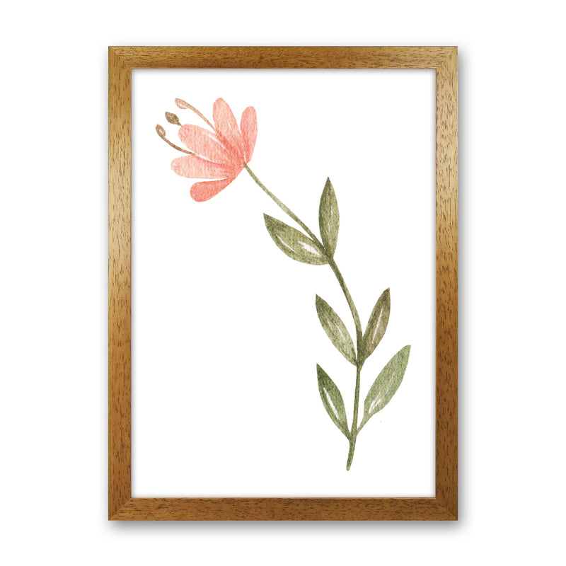 Pink Watercolour Flower 2 Modern Print Oak Grain