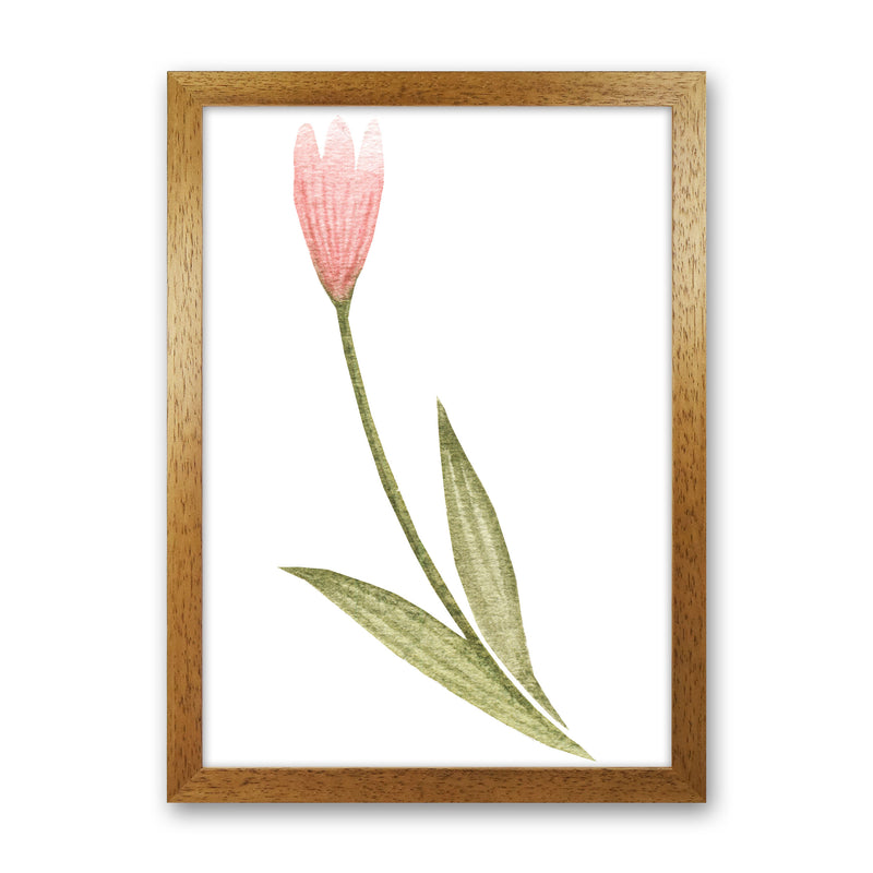 Pink Watercolour Flower 3 Modern Print Oak Grain