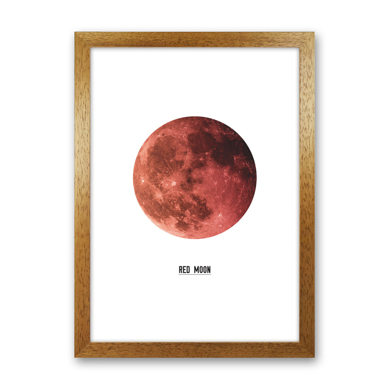 Red Moon Modern Print Oak Grain