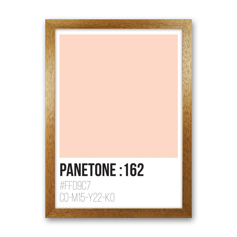 Panetone Colours 162 Modern Print Oak Grain