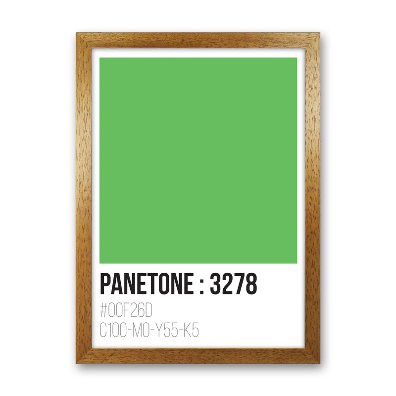 Panetone Colours 3278 Modern Print Oak Grain