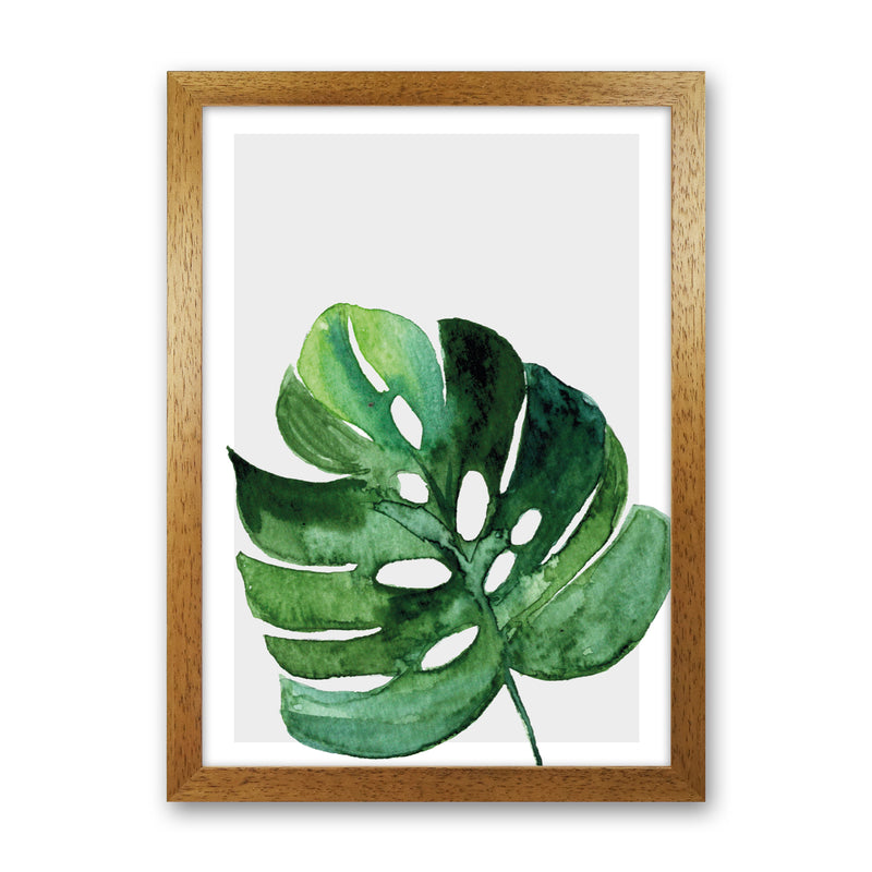 Leaf With Grey Back Exotic  Art Print by Pixy Paper Oak Grain