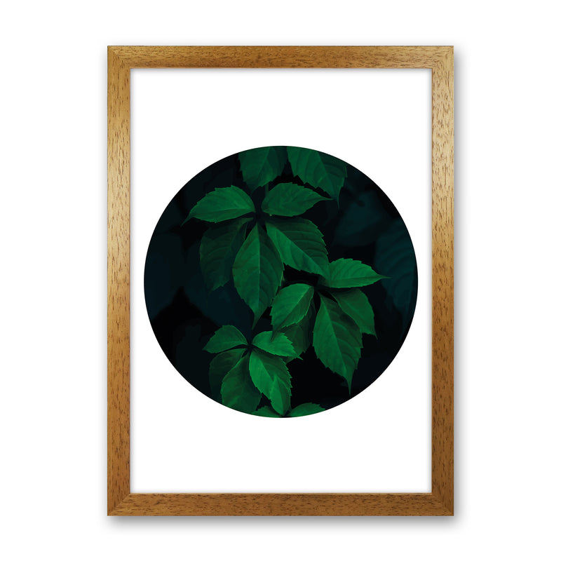 Deep Green Leaf Circle  Art Print by Pixy Paper Oak Grain