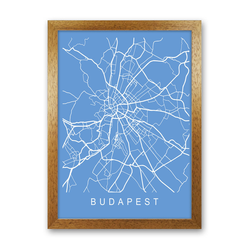 Budapest Map Blueprint Art Print by Pixy Paper Oak Grain