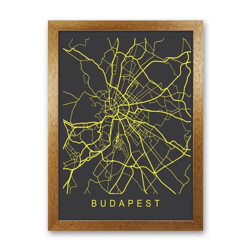 Budapest Map Neon Art Print by Pixy Paper Oak Grain