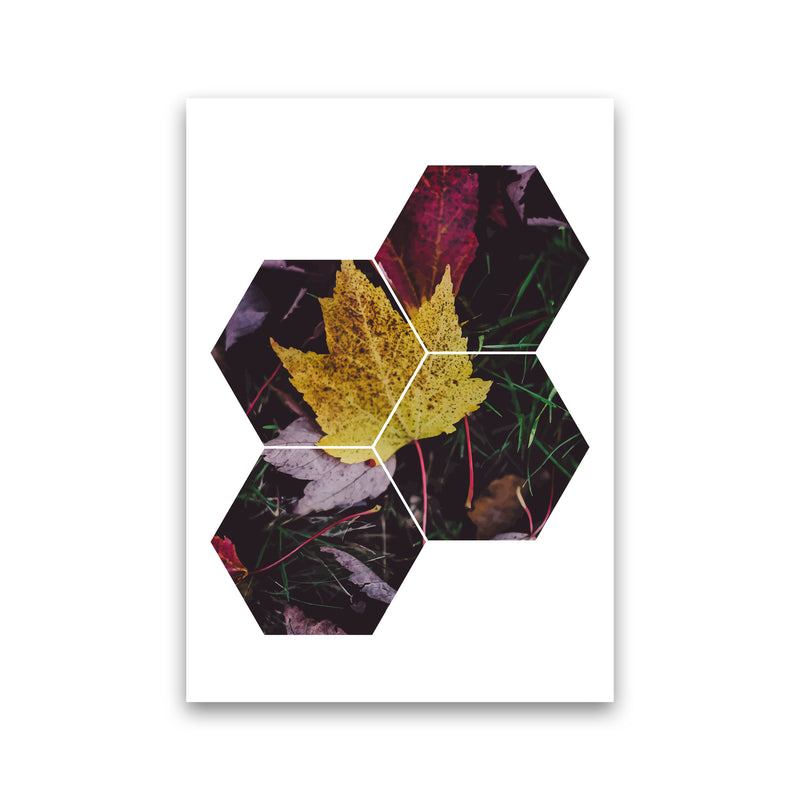 Leaf And Grass Abstract Hexagons Modern Print Print Only