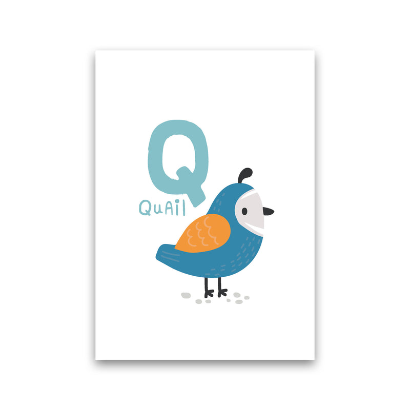 Alphabet Animals, Q Is For Quail Framed Nursey Wall Art Print Print Only