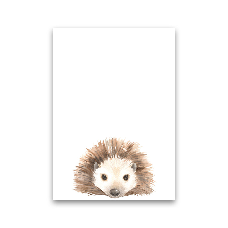 Forest Friends, Cute Hedgehog Modern Print Animal Art Print Print Only