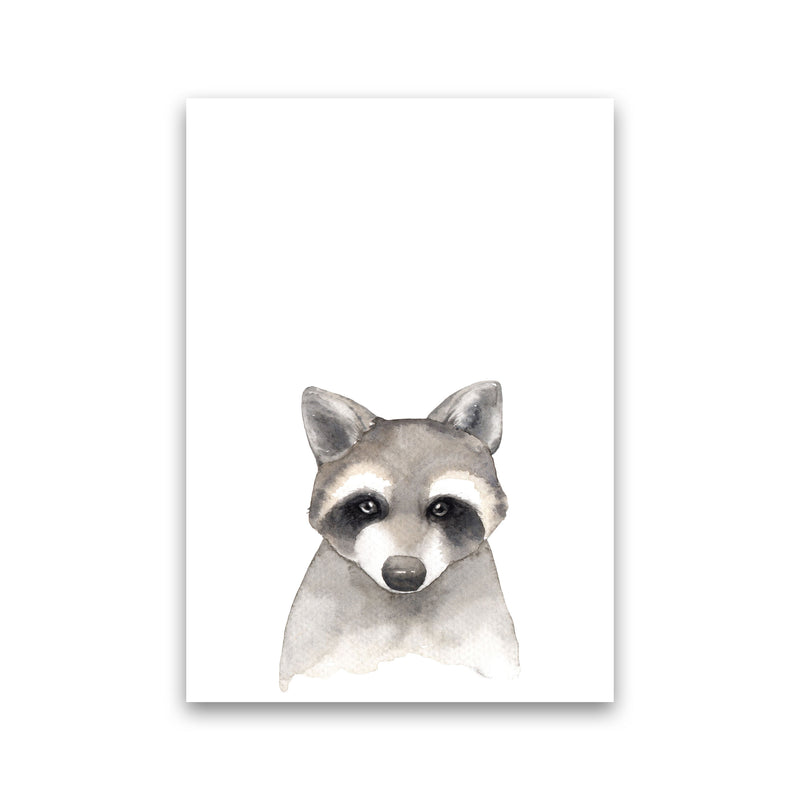 Forest Friends, Cute Raccoon Modern Print Animal Art Print Print Only
