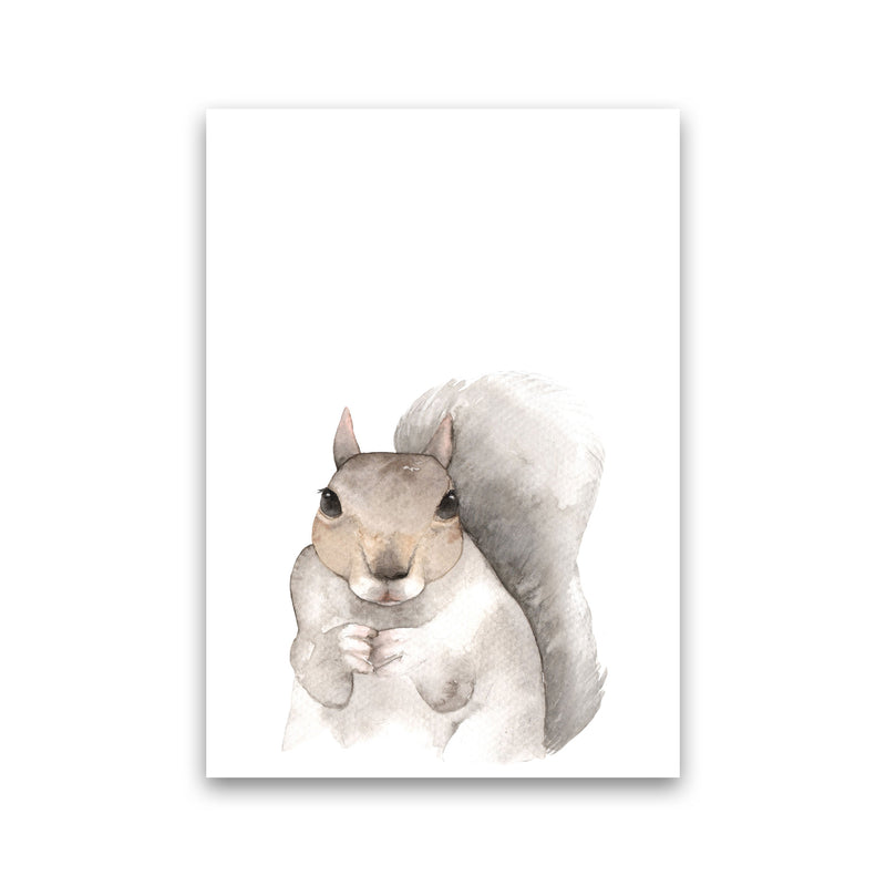 Forest Friends, Cute Squirrel Modern Print Animal Art Print Print Only