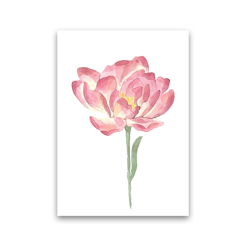 Pink Watercolour Flower Modern Print Print Only