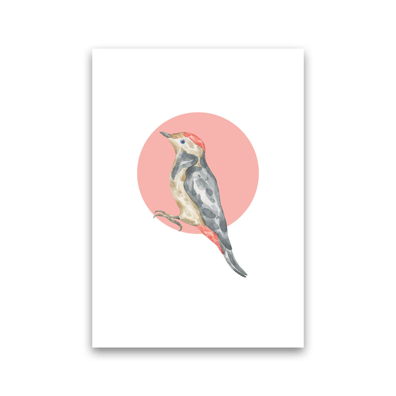 Watercolour Bird With Red Circle Modern Print Animal Art Print Print Only