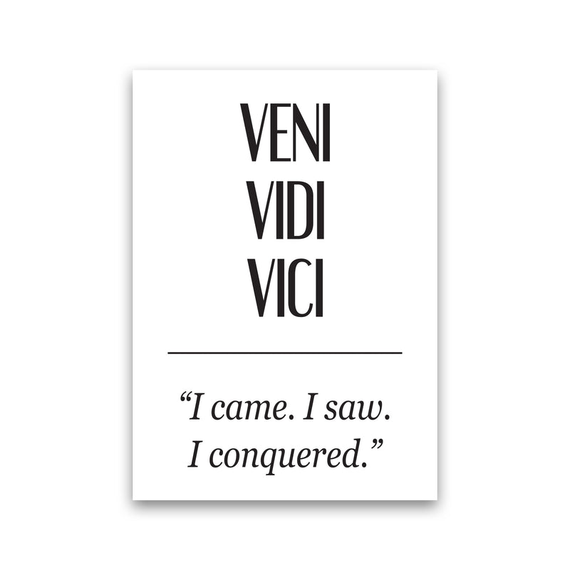 Veni Vidi Vici Modern Print Print Only