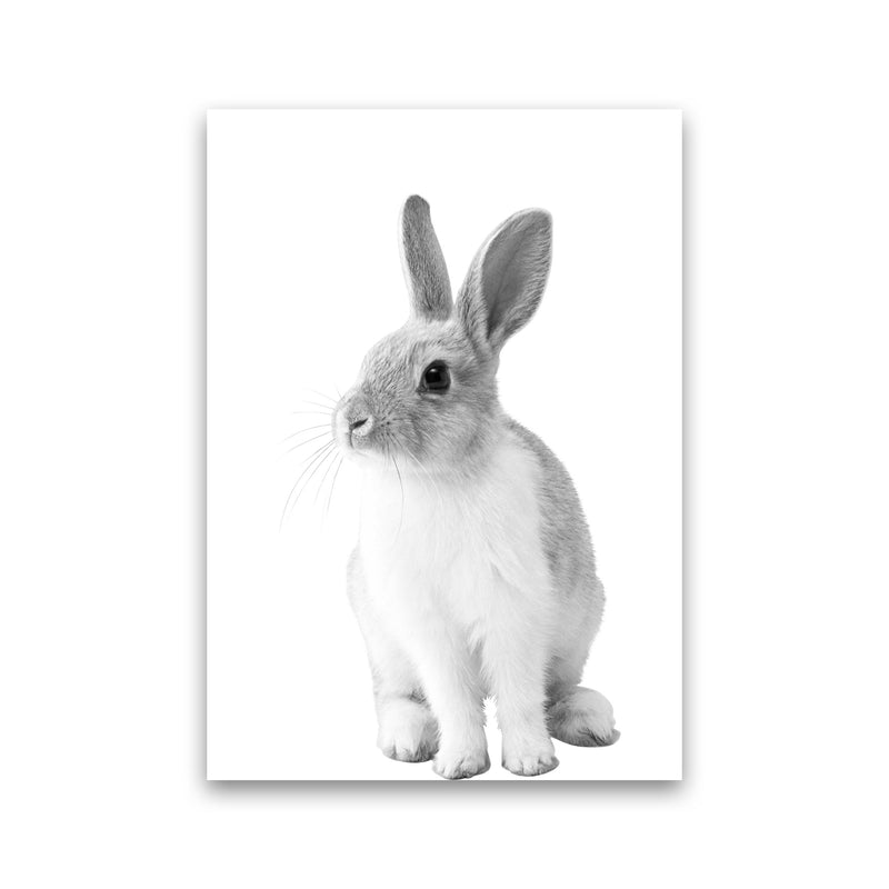Black And White Bunny Modern Print Animal Art Print Print Only