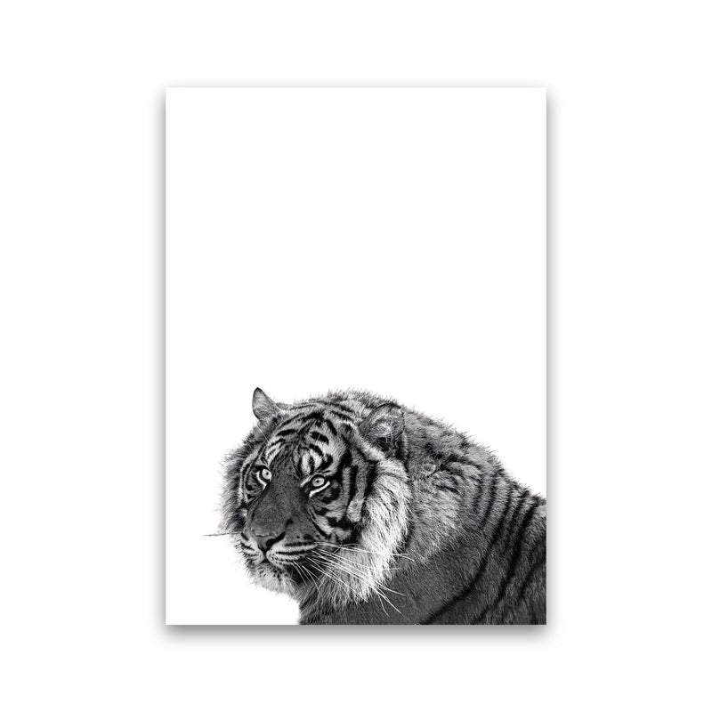Black And White Tiger Modern Print Animal Art Print Print Only