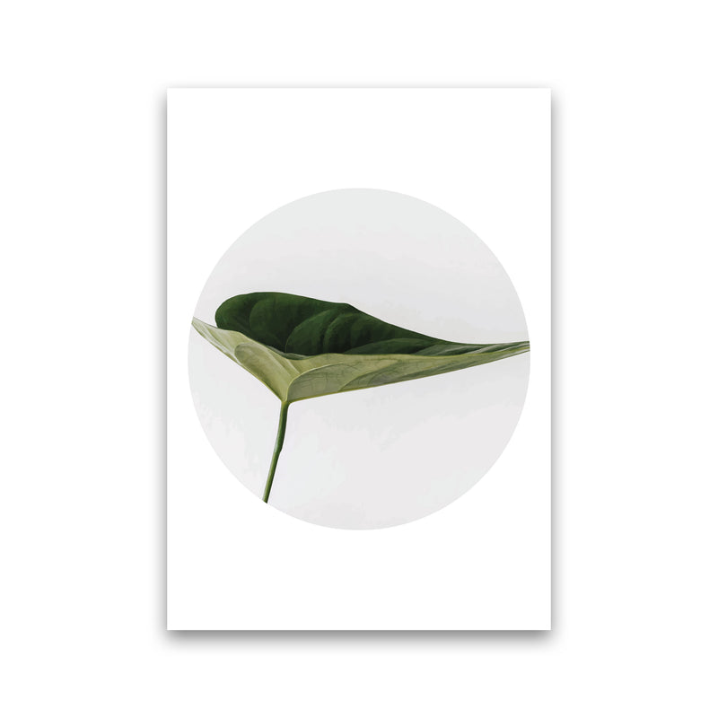 Doc Leaf Modern Print, Framed Botanical & Nature Art Print Print Only