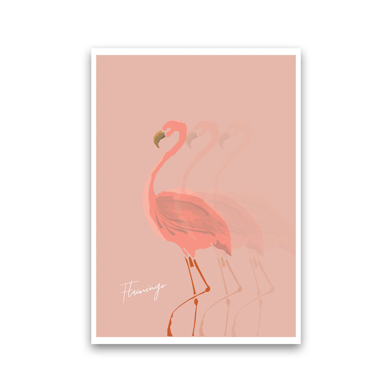 Flamingo Shadow Modern Print Animal Art Print Print Only