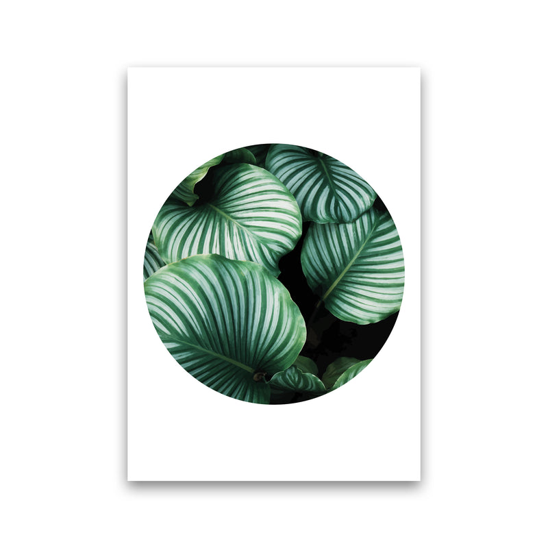 Green Leaves Circle Modern Print, Framed Botanical & Nature Art Print Print Only