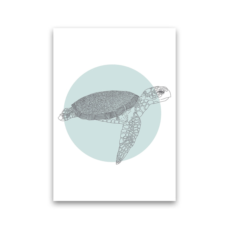 Marine Animals Turtle Modern Print Animal Art Print Print Only