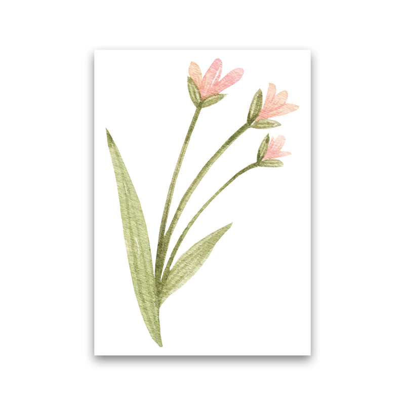 Pink Watercolour Flower 1 Modern Print Print Only