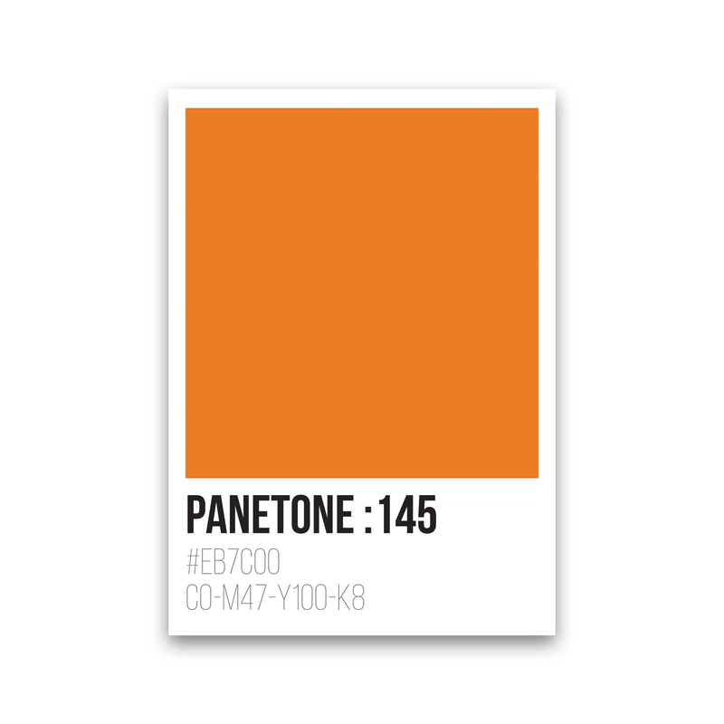 Panetone Colours 145 Modern Print Print Only