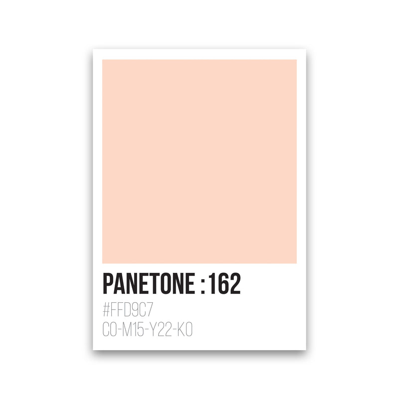 Panetone Colours 162 Modern Print Print Only