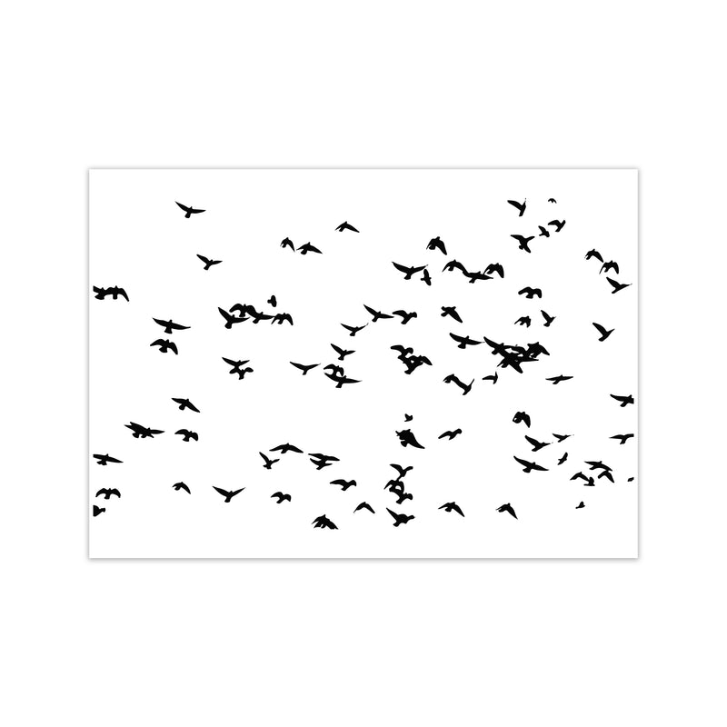 Flock Of Birds Landscape Art Print by Pixy Paper Print Only