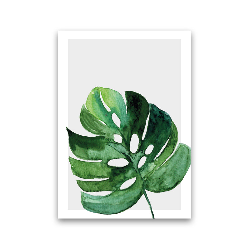 Leaf With Grey Back Exotic  Art Print by Pixy Paper Print Only