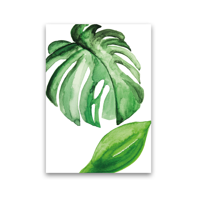 Large Leaf Exotic  Art Print by Pixy Paper Print Only