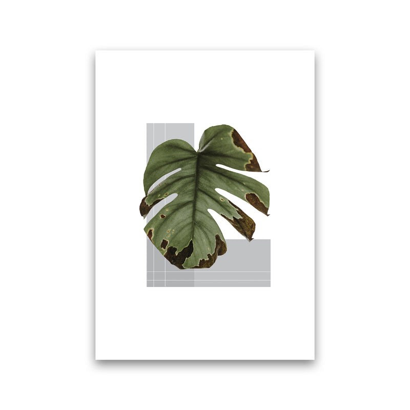 Green Leaf Grey  Art Print by Pixy Paper Print Only